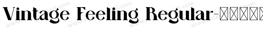 Vintage Feeling Regular字体转换